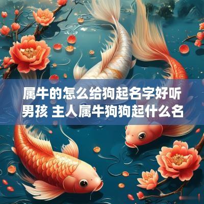 属牛的怎么给狗起名字好听男孩 主人属牛狗狗起什么名字