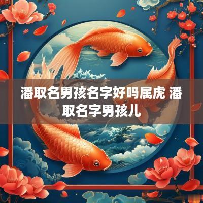 潘取名男孩名字好吗属虎 潘取名字男孩儿