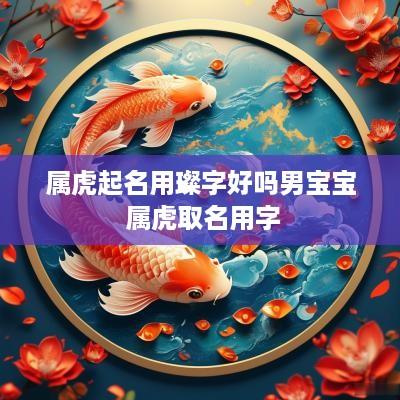 属虎起名用璨字好吗男宝宝 属虎取名用字