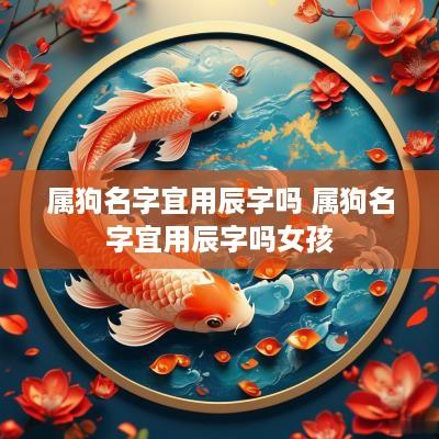 属狗名字宜用辰字吗 属狗名字宜用辰字吗女孩