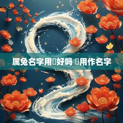 属兔名字用璟好吗 璟用作名字