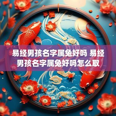易经男孩名字属兔好吗 易经男孩名字属兔好吗怎么取
