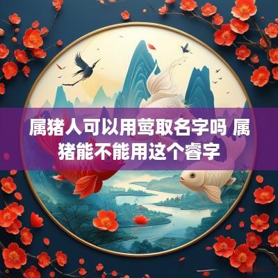 属猪人可以用莺取名字吗 属猪能不能用这个睿字