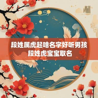 段姓属虎起啥名字好听男孩 段姓虎宝宝取名