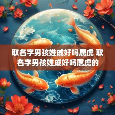 取名字男孩姓戚好吗属虎 取名字男孩姓戚好吗属虎的