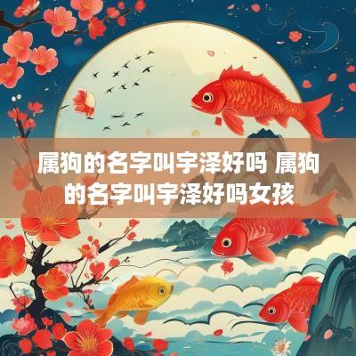 属狗的名字叫宇泽好吗 属狗的名字叫宇泽好吗女孩
