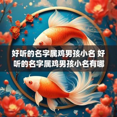 好听的名字属鸡男孩小名 好听的名字属鸡男孩小名有哪些