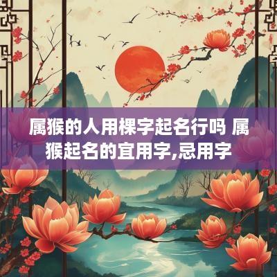 属猴的人用棵字起名行吗 属猴起名的宜用字,忌用字
