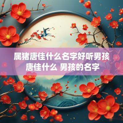 属猪唐佳什么名字好听男孩 唐佳什么 男孩的名字 属猪唐佳什么名字好听男孩 唐佳什么 男孩的名字