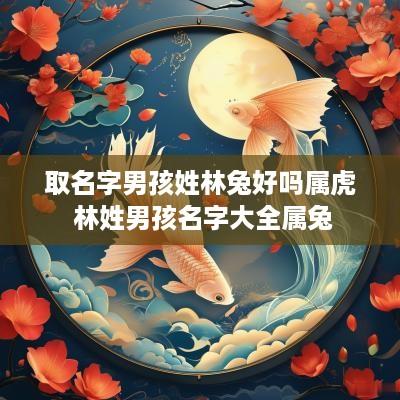 取名字男孩姓林兔好吗属虎 林姓男孩名字大全属兔