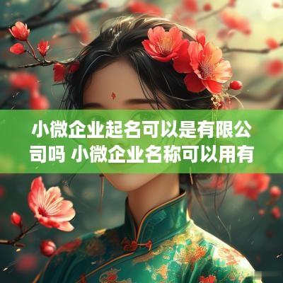 小微企业起名可以是有限公司吗 小微企业名称可以用有限责任公司吗