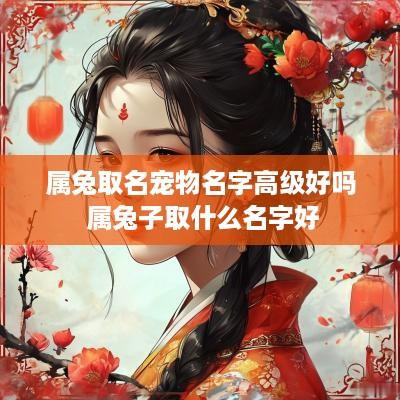 属兔取名宠物名字高级好吗 属兔子取什么名字好