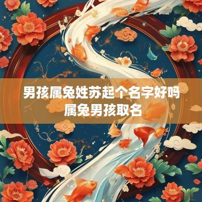 男孩属兔姓苏起个名字好吗 属兔男孩取名