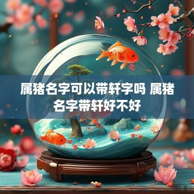 属猪名字可以带轩字吗 属猪名字带轩好不好
