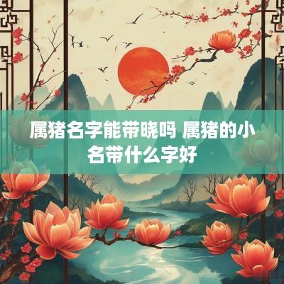 属猪名字能带晓吗 属猪的小名带什么字好