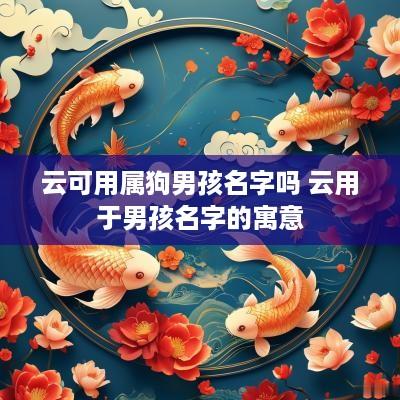 云可用属狗男孩名字吗 云用于男孩名字的寓意