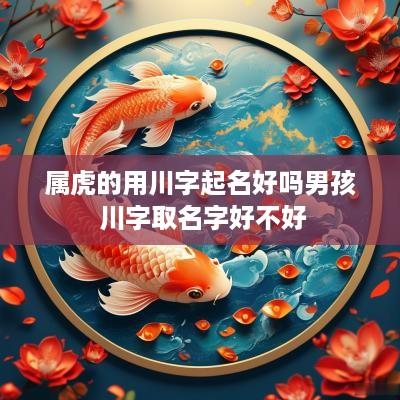 属虎的用川字起名好吗男孩 川字取名字好不好