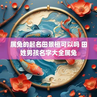 属兔的起名田景桓可以吗 田姓男孩名字大全属兔