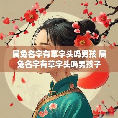 属兔名字有草字头吗男孩 属兔名字有草字头吗男孩子