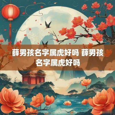 薛男孩名字属虎好吗 薛男孩名字属虎好吗