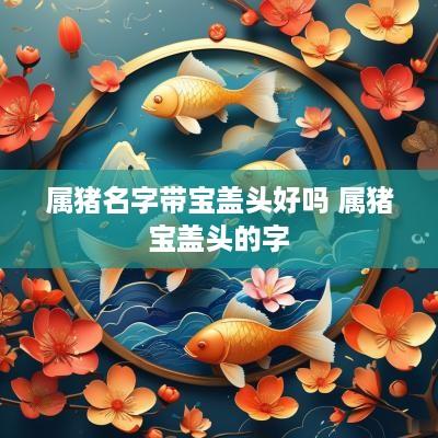 属猪名字带宝盖头好吗 属猪宝盖头的字