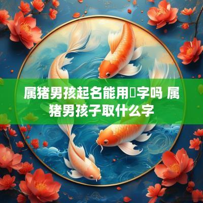 属猪男孩起名能用晅字吗 属猪男孩子取什么字