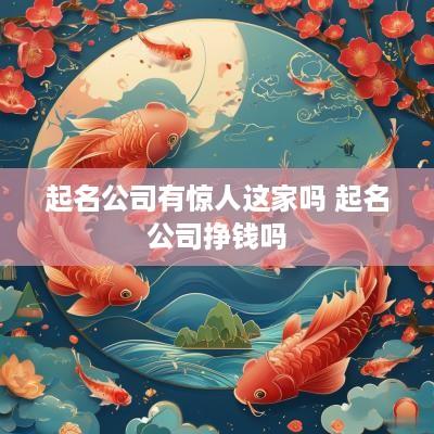 起名公司有惊人这家吗 起名公司挣钱吗