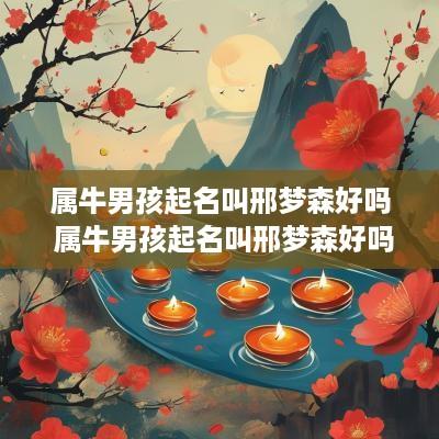属牛男孩起名叫邢梦森好吗 属牛男孩起名叫邢梦森好吗