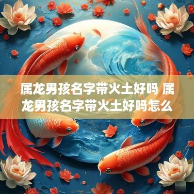 属龙男孩名字带火土好吗 属龙男孩名字带火土好吗怎么取