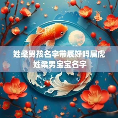 姓梁男孩名字带辰好吗属虎 姓梁男宝宝名字
