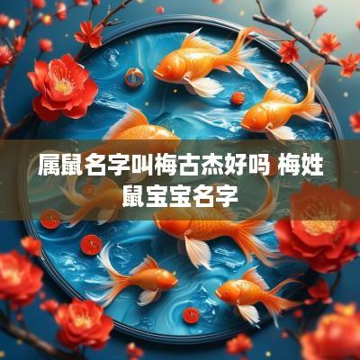 属鼠名字叫梅古杰好吗 梅姓鼠宝宝名字