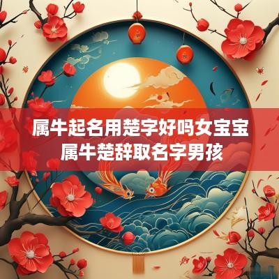 属牛起名用楚字好吗女宝宝 属牛楚辞取名字男孩