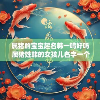属猪的宝宝起名韩一鸣好吗 属猪姓韩的女孩儿名字一个字
