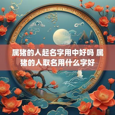 属猪的人起名字用中好吗 属猪的人取名用什么字好