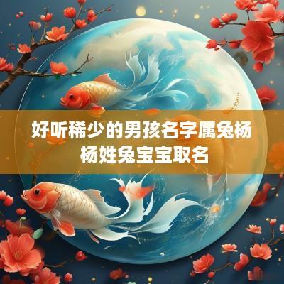 好听稀少的男孩名字属兔杨 杨姓兔宝宝取名