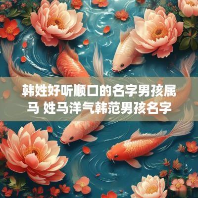 韩姓好听顺口的名字男孩属马 姓马洋气韩范男孩名字