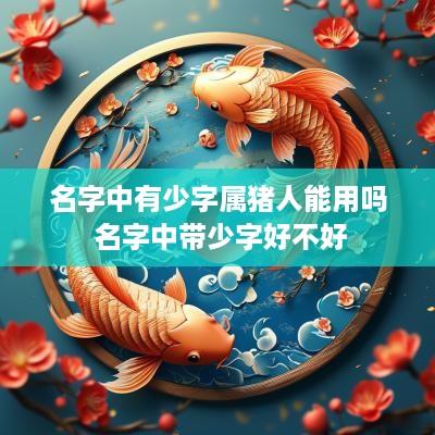 名字中有少字属猪人能用吗 名字中带少字好不好