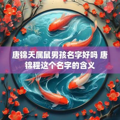 唐锦天属鼠男孩名字好吗 唐锦程这个名字的含义 唐锦天属鼠男孩名字好吗 唐锦程这个名字的含义