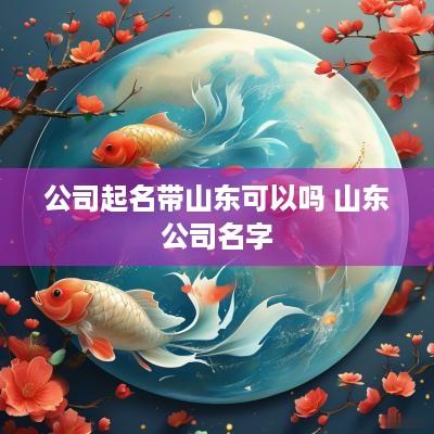 公司起名带山东可以吗 山东公司名字
