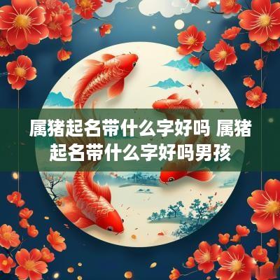 属猪起名带什么字好吗 属猪起名带什么字好吗男孩