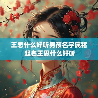 王思什么好听男孩名字属猪 起名王思什么好听