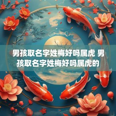 男孩取名字姓梅好吗属虎 男孩取名字姓梅好吗属虎的