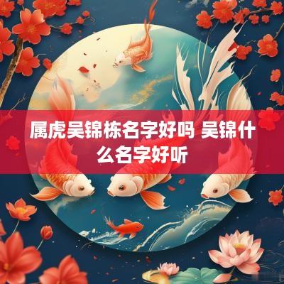 属虎吴锦栋名字好吗 吴锦什么名字好听