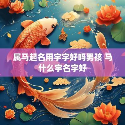 属马起名用宇字好吗男孩 马什么宇名字好