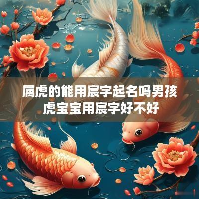 属虎的能用宸字起名吗男孩 虎宝宝用宸字好不好