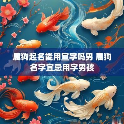 属狗起名能用宣字吗男 属狗名字宜忌用字男孩 属狗起名能用宣字吗男 属狗名字宜忌用字男孩