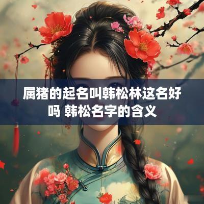 属猪的起名叫韩松林这名好吗 韩松名字的含义