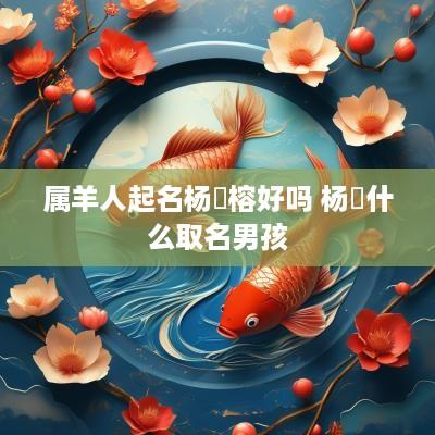 属羊人起名杨璟榕好吗 杨璟什么取名男孩