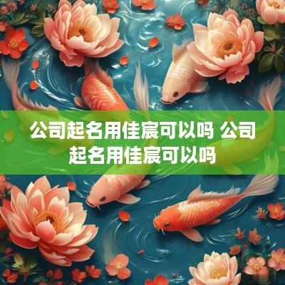 公司起名用佳宸可以吗 公司起名用佳宸可以吗