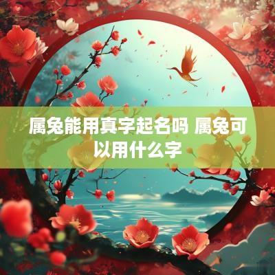 属兔能用真字起名吗 属兔可以用什么字